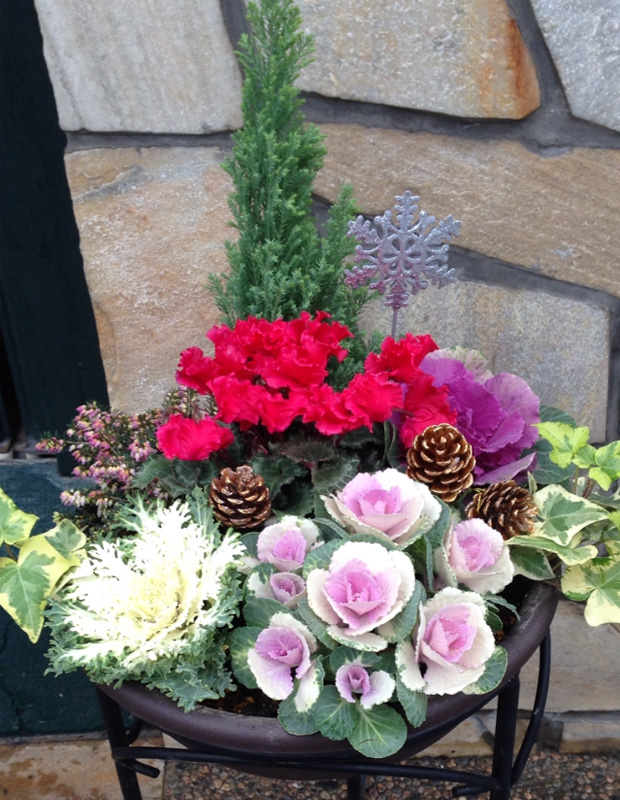 クリスマスにぴったりの寄せ植え教室